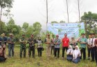Aksi Kolaborasi Penanaman 1.100 Pohon Di Hulu Merapi Peringati Hari Tanam Pohon Sedunia